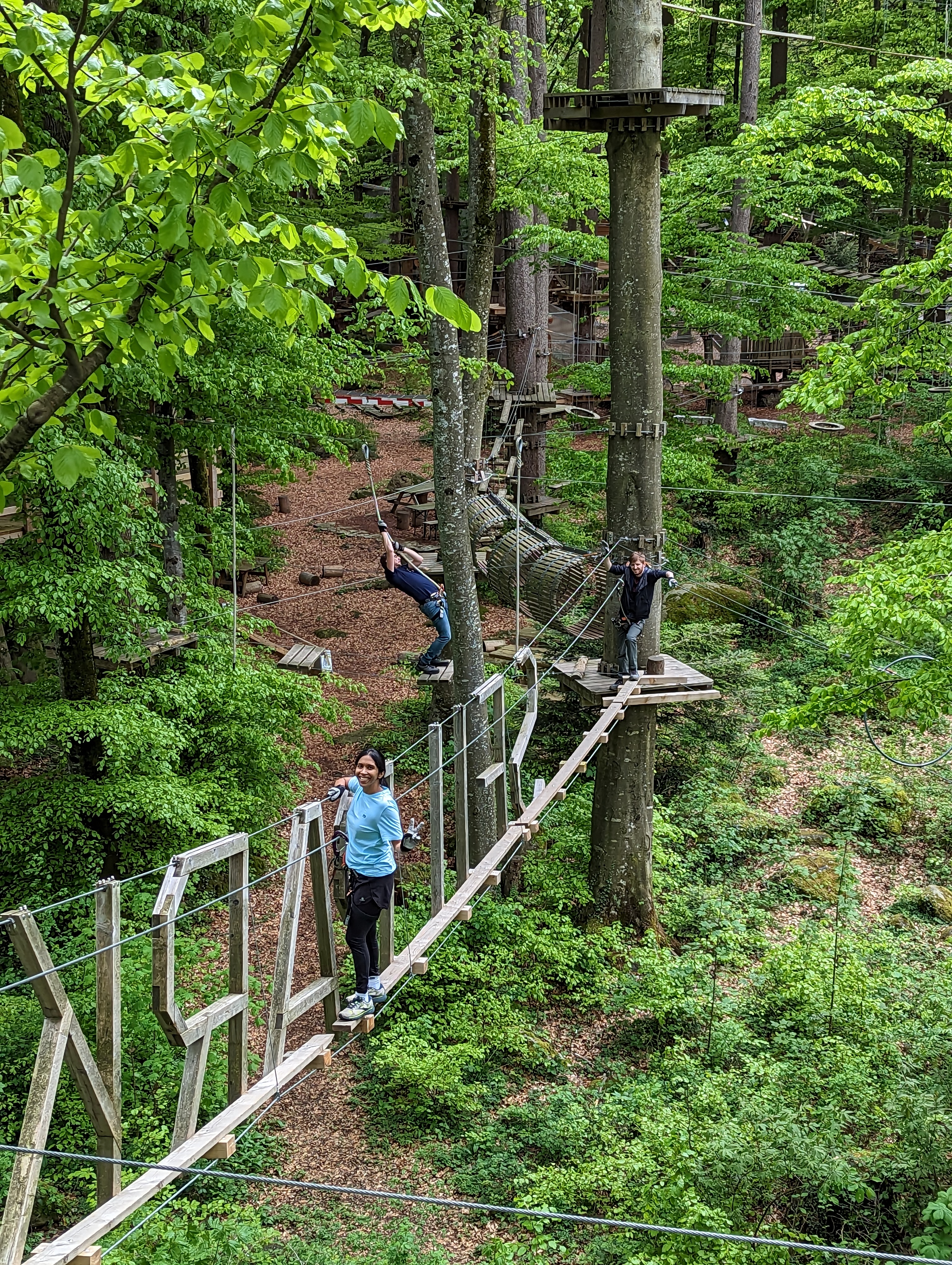 The team on ropes at the rope park.